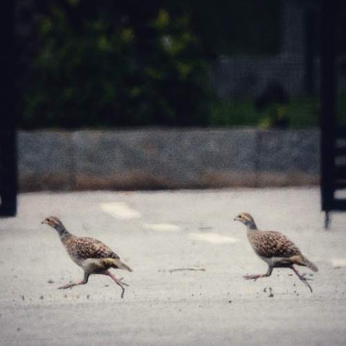Photo #11787545