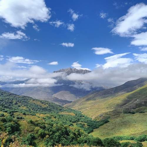 Photo #11787984