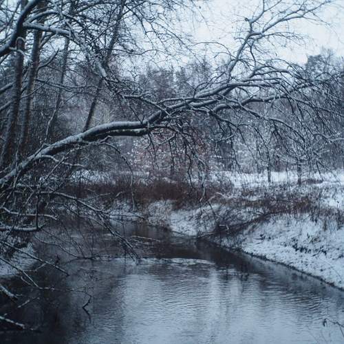Photo #11787985