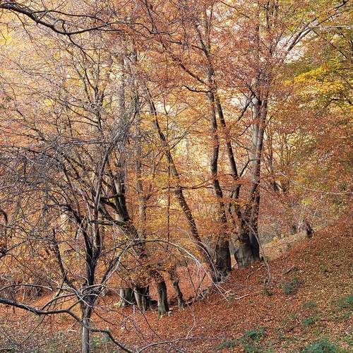 Photo #11788151