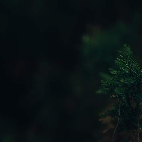 Фотография #11788171