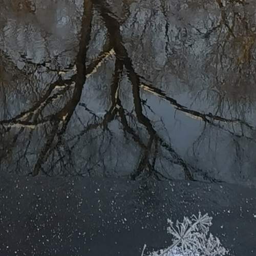 Photo #11788615