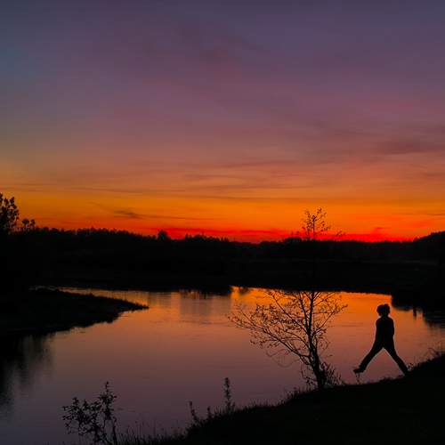 Photo #11788665