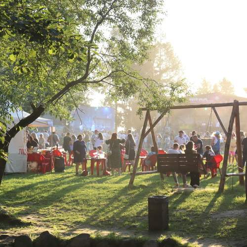 Photo #11788705