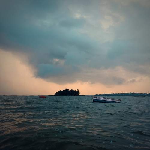 Photo #11788761