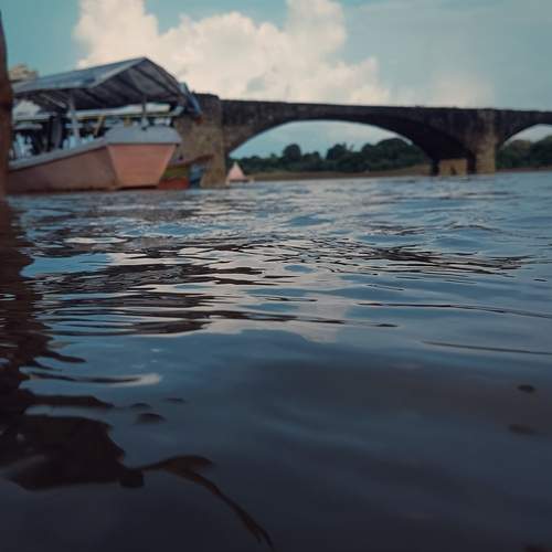 Photo #11788817