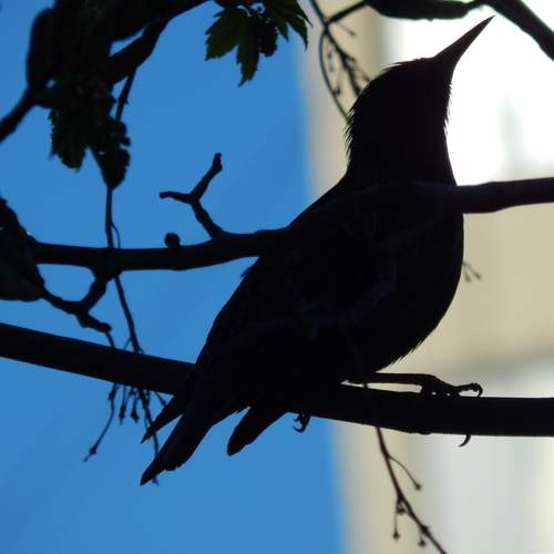 Photo #11788867