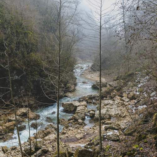 Photo #11788907