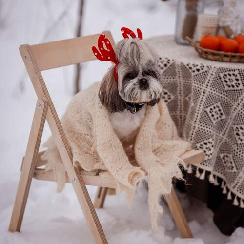 Photo #11789036