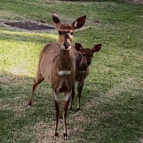 Photo #11789038
