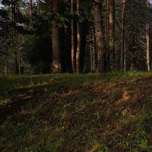 Photo #11789082