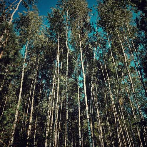 Photo #11789191