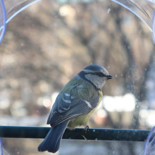 Photo #11789210