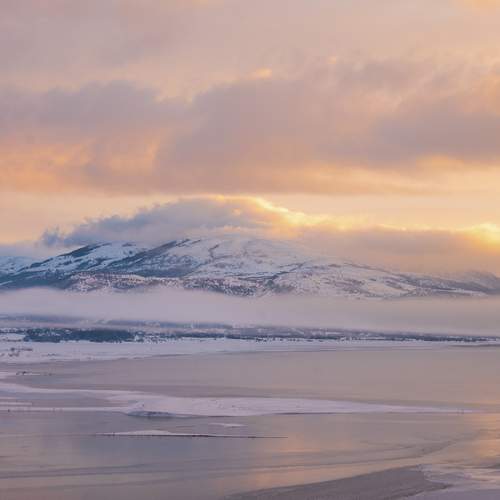 Photo #11789212