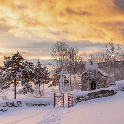 Photo #11789217