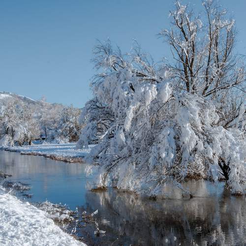 Photo #11789224