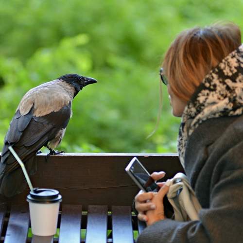 Photo #11789298