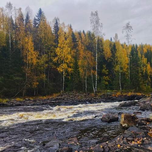 Photo #11789415
