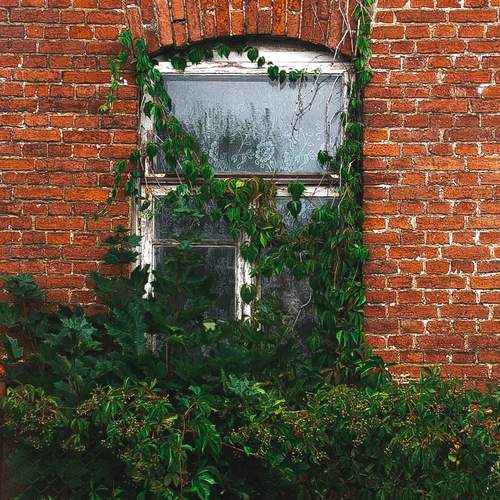 Photo #11789450