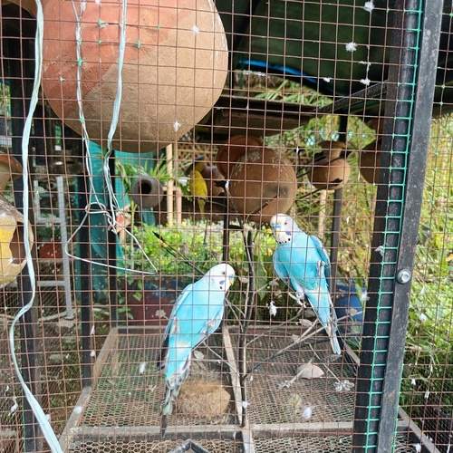Photo #11789458