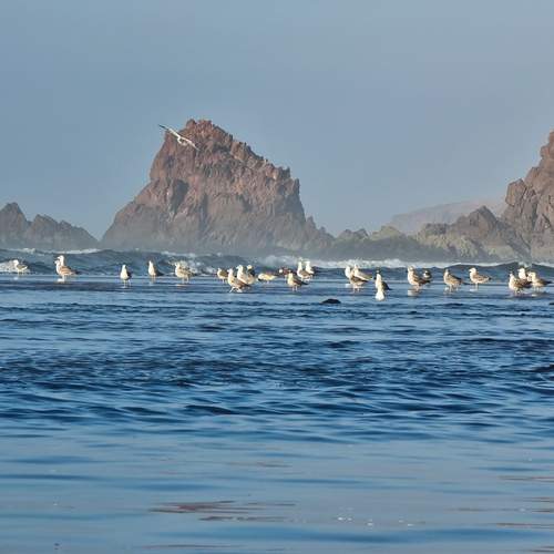 Photo #11789510