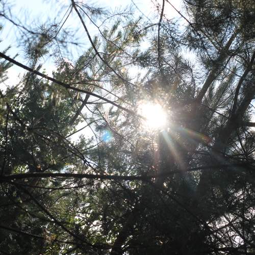 Photo #11789545