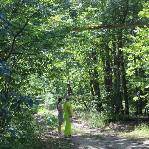 Photo #11789548