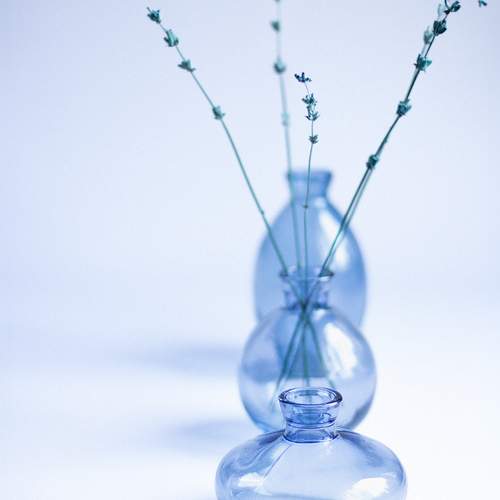 Photo #11789556