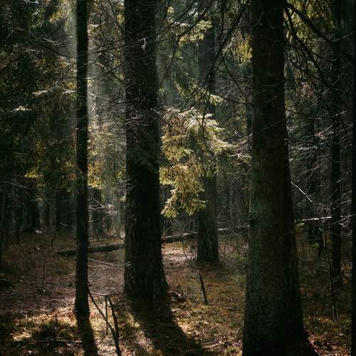 Photo #11789565
