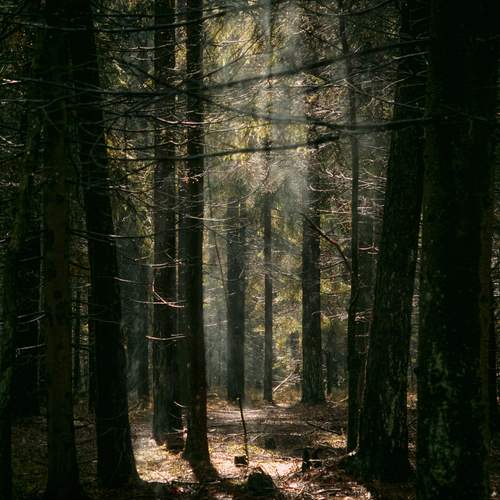 Photo #11789566
