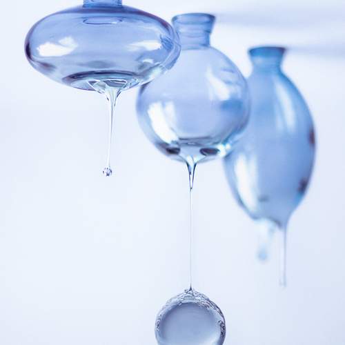 Photo #11789569