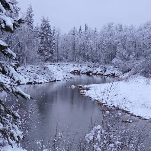Photo #11789590
