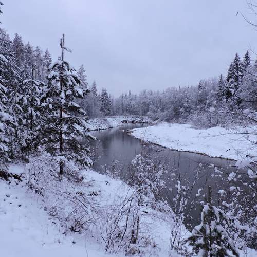 Photo #11789591