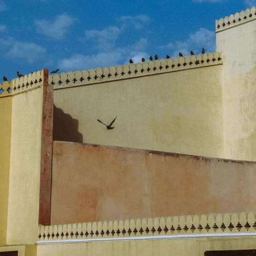 Photo #11789635