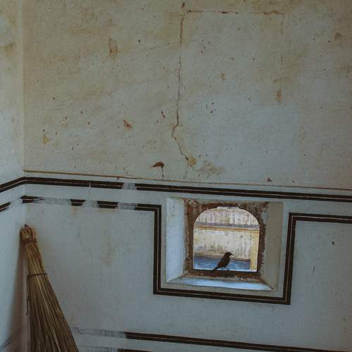 Photo #11789733