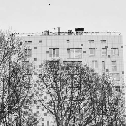 Photo #11790345
