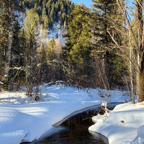 Photo #11790464