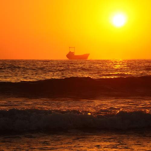 Photo #11790506