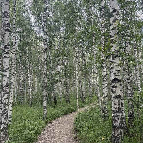Photo #11790714