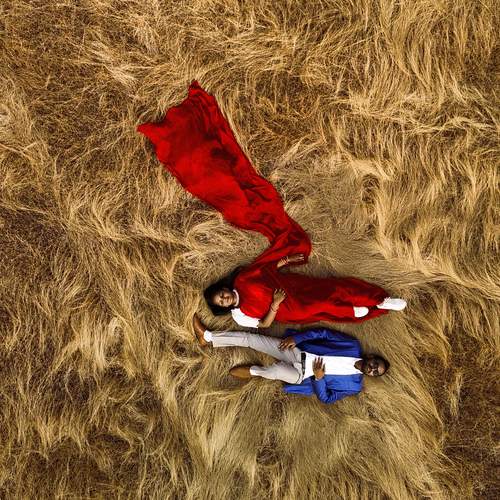 Photo #11790790