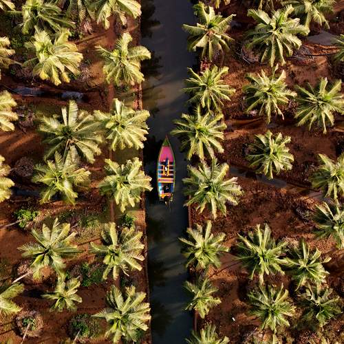 Photo #11790793