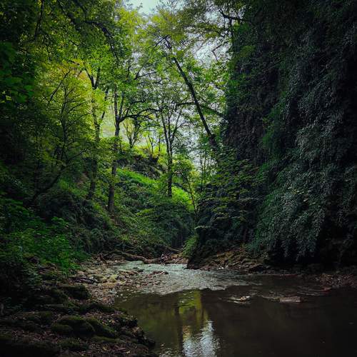 Emerald Haven