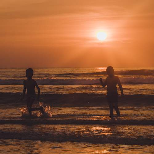Photo #11790948