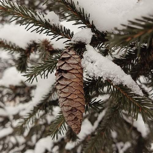 Photo #11791157