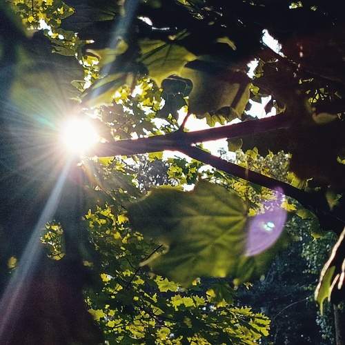 Photo #11791159