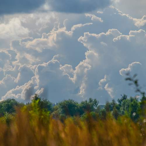 Photo #11791304