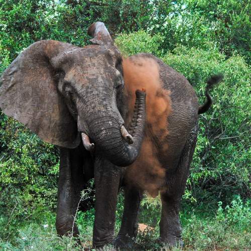 Photo #11791355