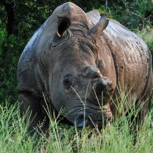 Photo #11791359