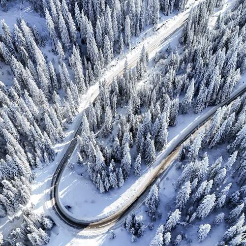 Photo #11791425