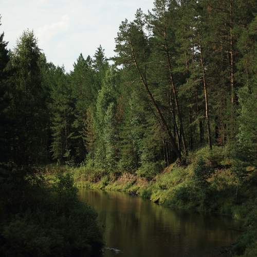 Photo #11791428